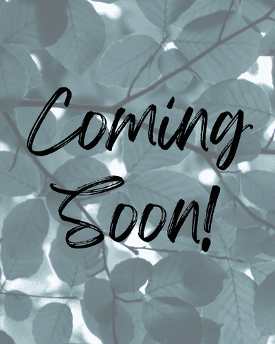 Coming Soon - Image placeholder 400x500px